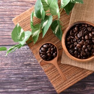 COFFEE-【オフィス用】冷めても美味しいブレンドコーヒー