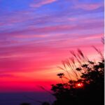 COFFEE-SET-2026年【新春】トップオブ スペシャルコーヒー豆５種類（100g×5袋）500g