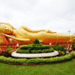 COFFEE-ラオス 『澄空（すみぞら）のコーヒー』【栽培期間中、農薬化学肥料不使用】