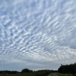 COFFEE-SET-お試しセット「冷めても美味しいコーヒー」　ドリップバッグ３パック ＆ 珈琲豆３種類（100g×３袋）300g