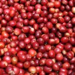 COFFEE-SET-お試しセットＡ「冷めても美味しいコーヒー」　ドリップバッグ３パック ＆ 珈琲豆３種類（100g×３袋）300g