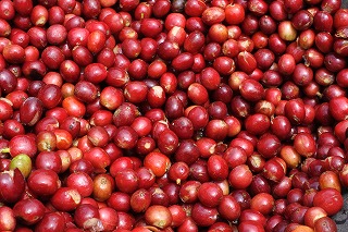 COFFEE-SET-お試しセットA「冷めても美味しいコーヒー」 ドリップバッグ3パック & 珈琲豆3種類(100g×3袋)300g